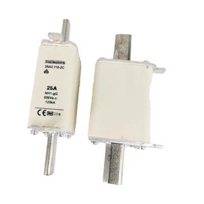 Siemens fuse 3NA3110-2C